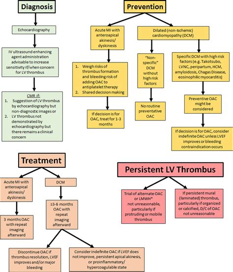 lv clot|Lv thrombus duration of anticoagulation.